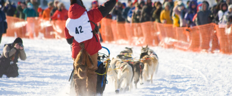 Alaska’s Iditarod: A Look at its History and Fun Facts You May Not Know