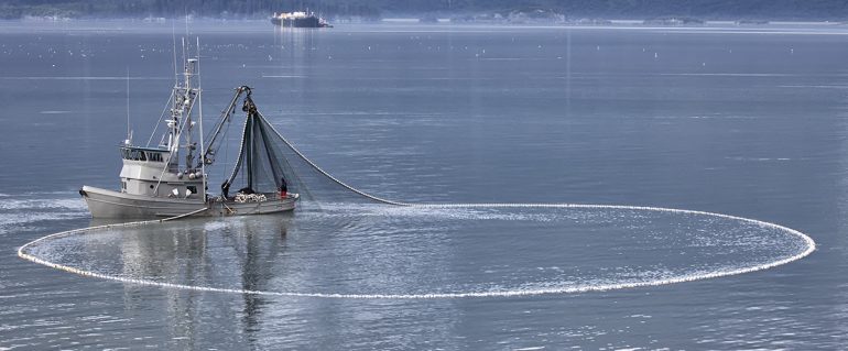 5 Busiest Alaskan Fishing Cities and Ports