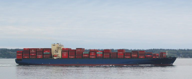 4 Most Popular Cargo Ships and What they Carry