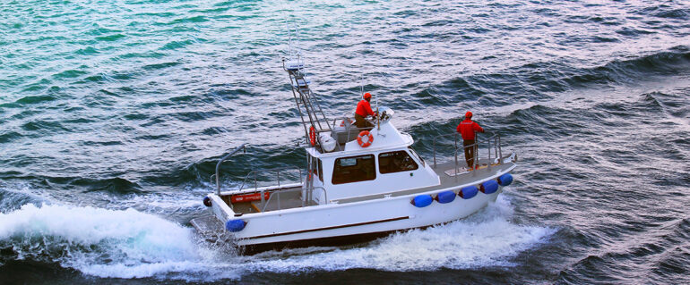 Get to Know The Gulf of Alaska