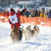 2023 Iditarod Overview