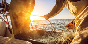 Exploring Alaska's Top Industries from Alaska Air Forwarding