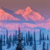 Chasing Alpenglow in Alaska