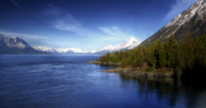 Turnagain Arm: Alaska’s Unique Waterway with Alaska Air Forwarding