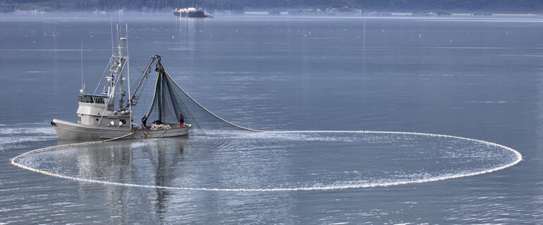 Why Salmon Season is Peak Shipping Season in Alaska